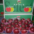 Exporting Standard Packing Fresh Red Apple, Huaniu Apple